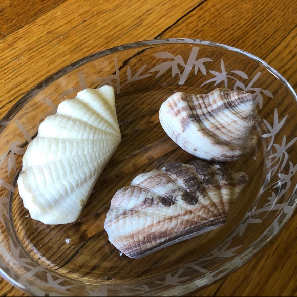 Toothbrush holder & Soap Tray with seashell soaps - Picture 3 of 6